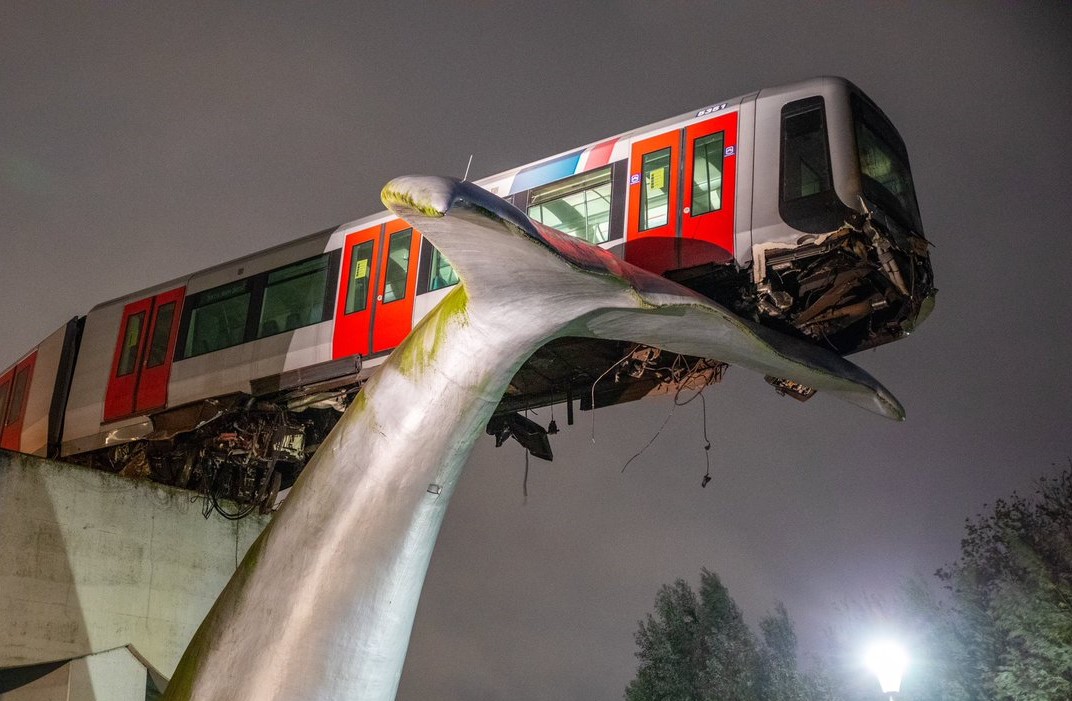 O włos od tragedii. Pociąg metra zatrzymał się na… ogonie wieloryba
