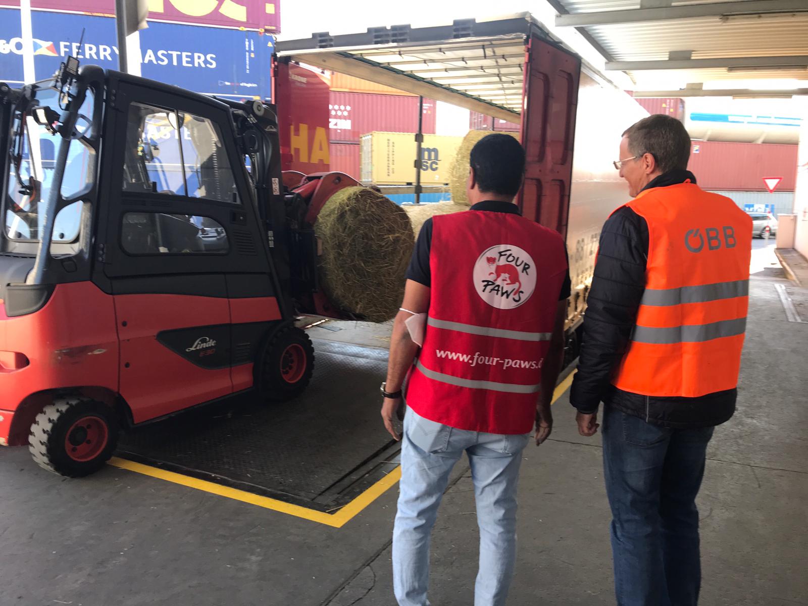 ÖBB zorganizowały transport żywności dla ukraińskiego ZOO