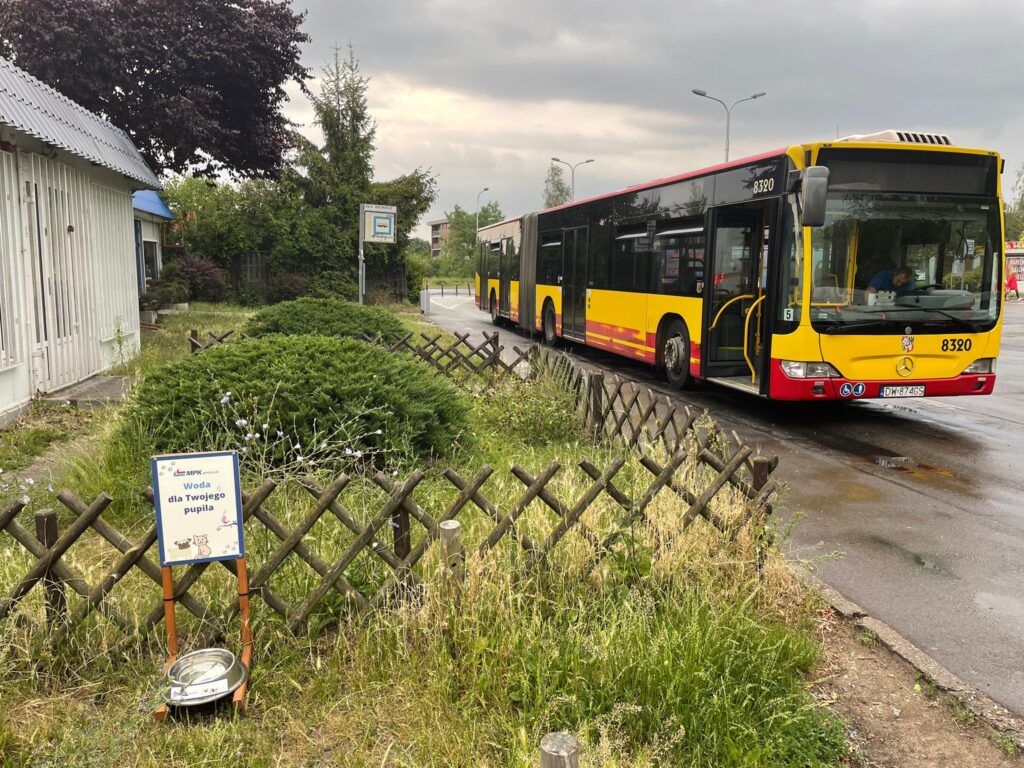 Miski z wodą na wrocławskich pętlach tramwajowych i autobusowych (fot. MPK Wrocław)