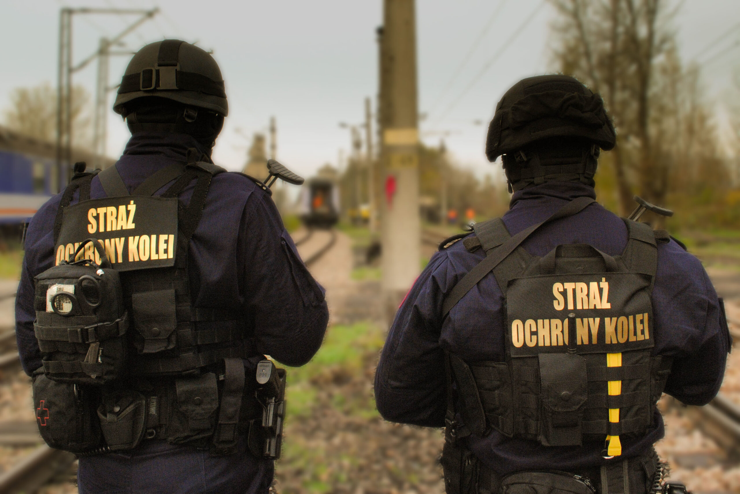 Złodzieje na szlaku kolejowym pod Legnicą. Interweniował patrol SOK