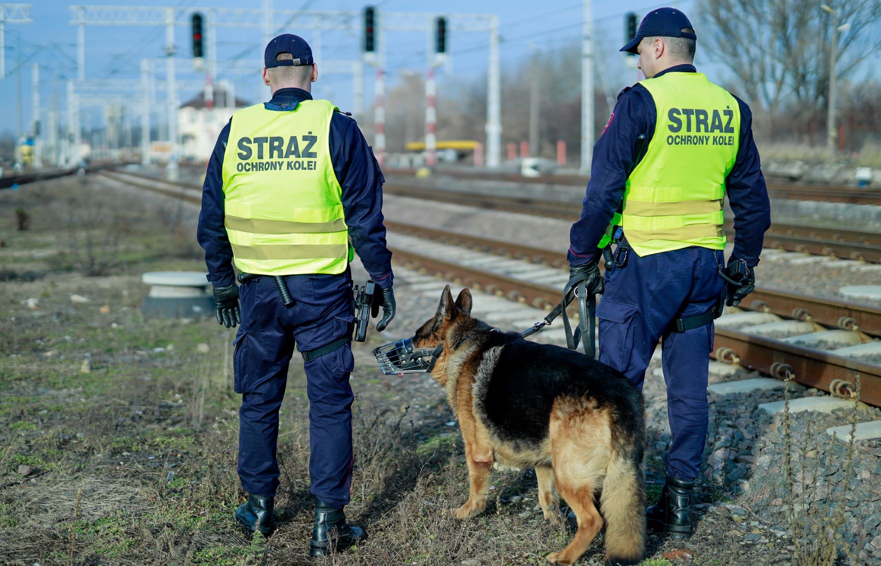 Funkcjonariusze Straży Ochrony Kolei w trakcie patrolowania terenu kolejowego (fot. SOK)