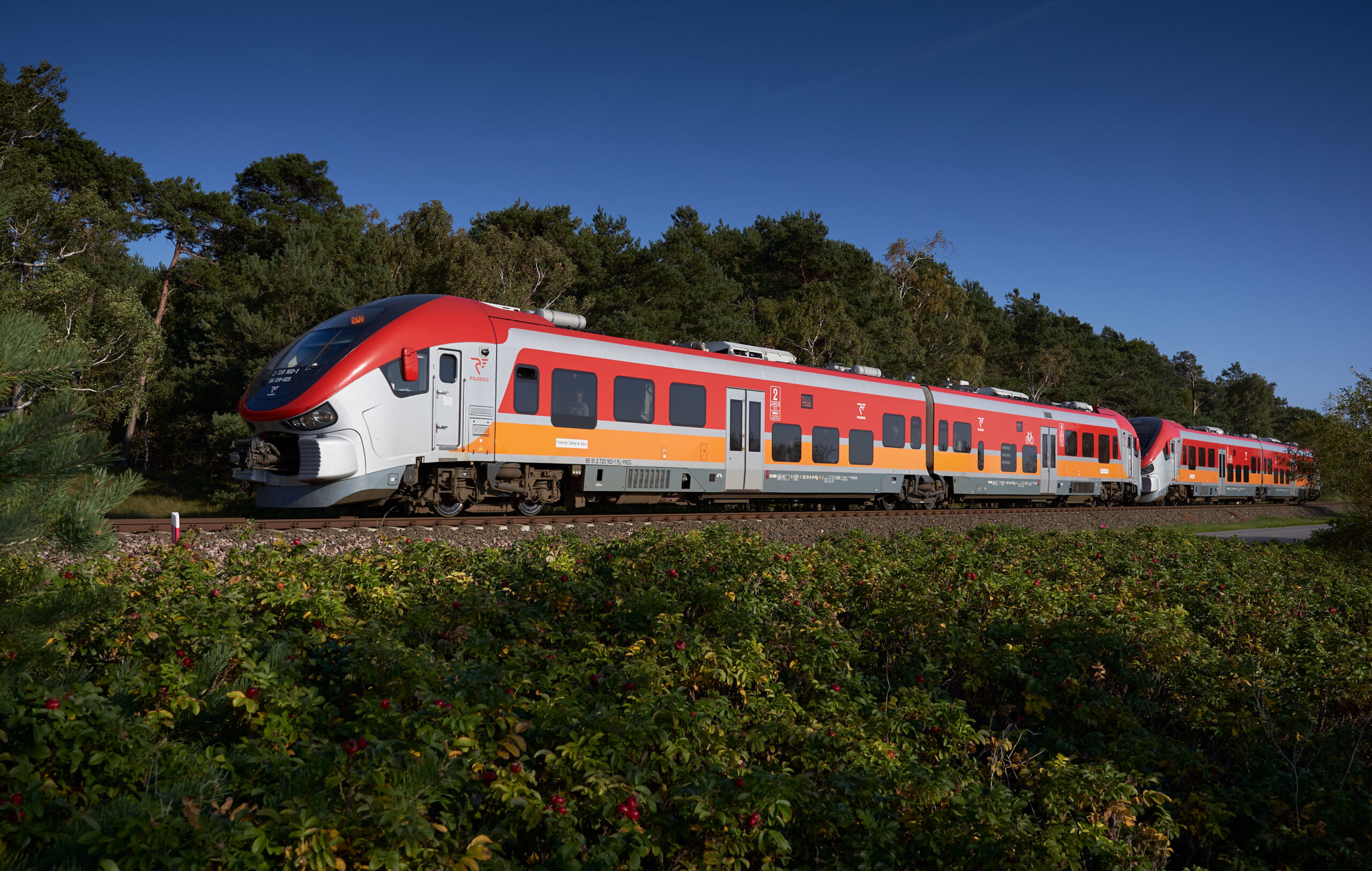 Polregio najpopularniejszym przewoźnikiem pasażerskim 2022 roku