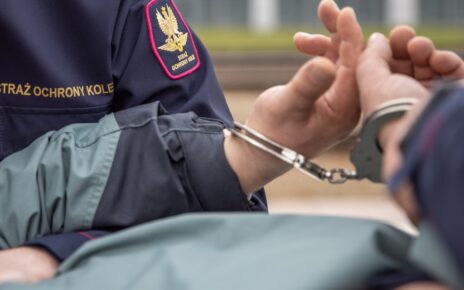 Funkcjonariusze SOK zatrzymali na dworcu w Kutnie agresywnego mężczyznę (fot. SOK)