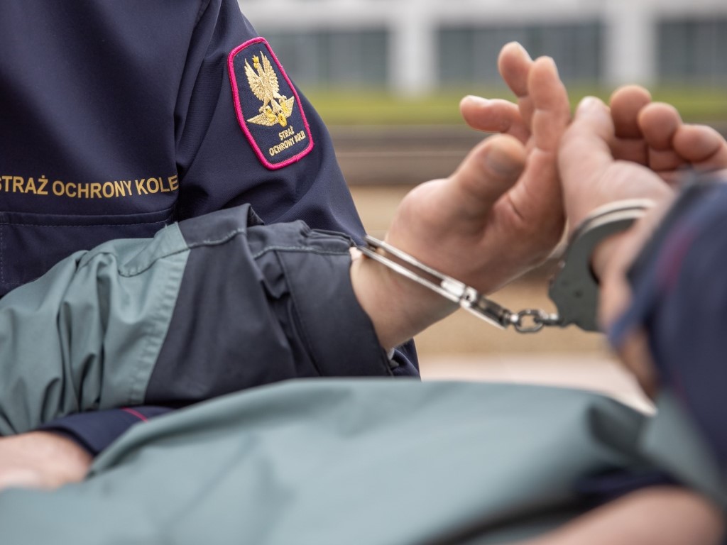 Funkcjonariusze SOK zatrzymali na dworcu w Kutnie agresywnego mężczyznę (fot. SOK)
