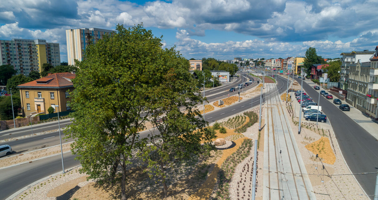 Fundacja Zielone Kujawy opublikowała Raport, w którym wskazuje na nieprawidłowości przy zabezpieczaniu terenów zielonych w trakcie budowy nowej linii tramwajowej do osiedla JAR w Toruniu (Fot. MZK Toruń)