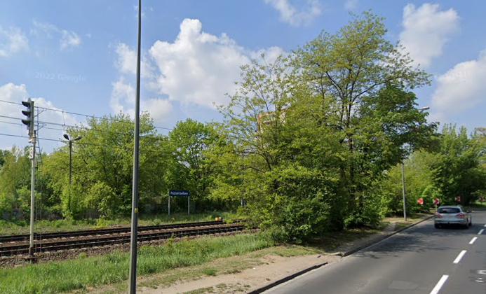 PKP PLK chce wyciąć, poznański magistrat zabrania. Co dalej z drzewami przy linii kolejowej w centrum miasta?