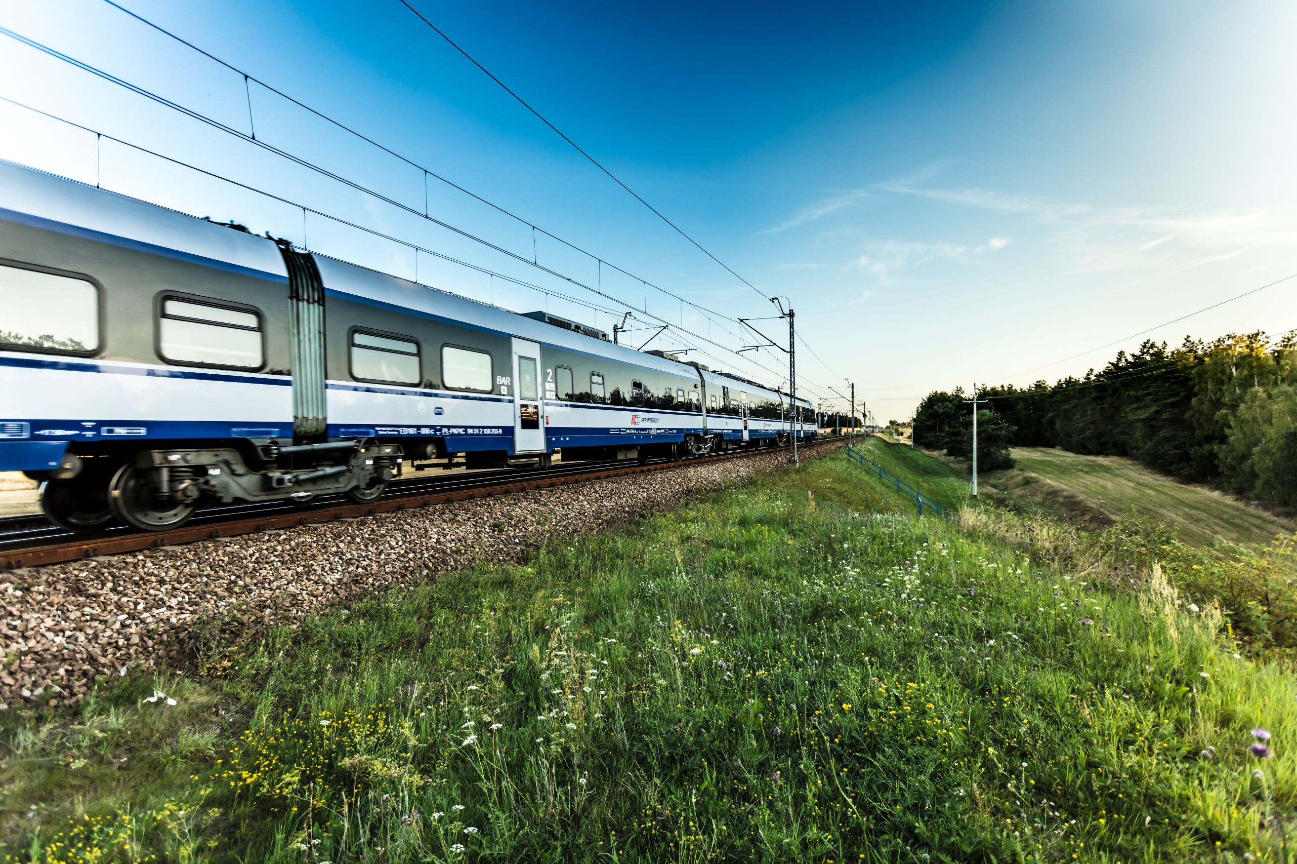 PKP Intercity sadzi łąki