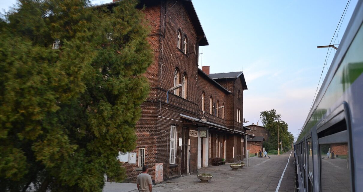 Fot. Lichen99 - Praca własna, CC BY-SA 3.0 pl, https://commons.wikimedia.org/w/index.php?curid=43796446