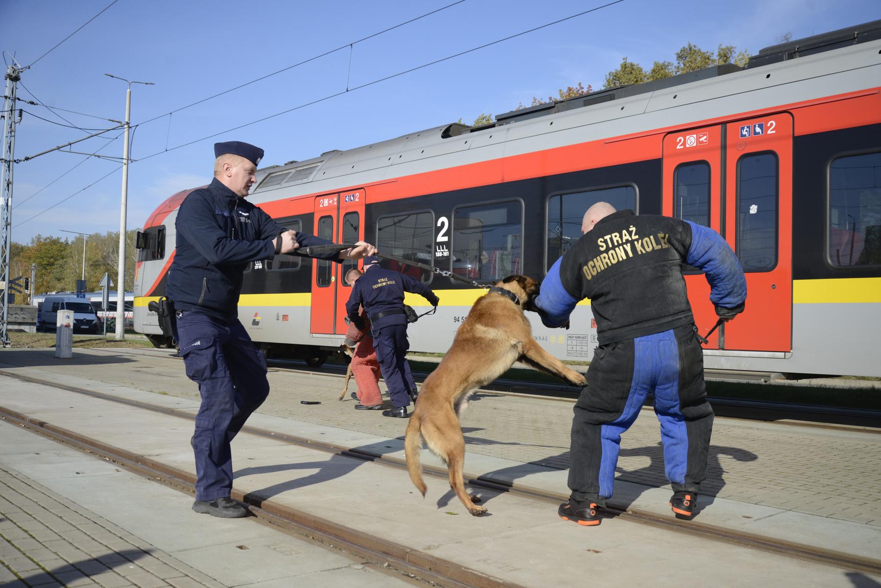 ŁKA wspiera szkolenie służb z psami