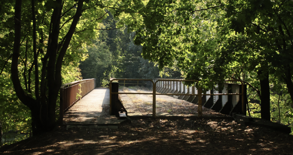 Fot. ZDMiKP w Bydgoszczy