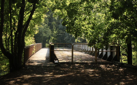 Fot. ZDMiKP w Bydgoszczy