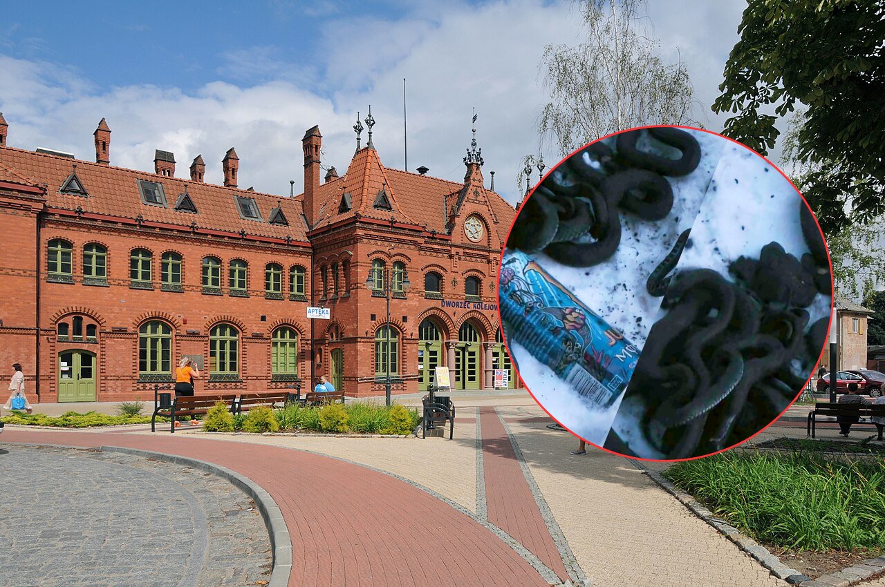 Porzucone węże na peronie 4 w Malborku