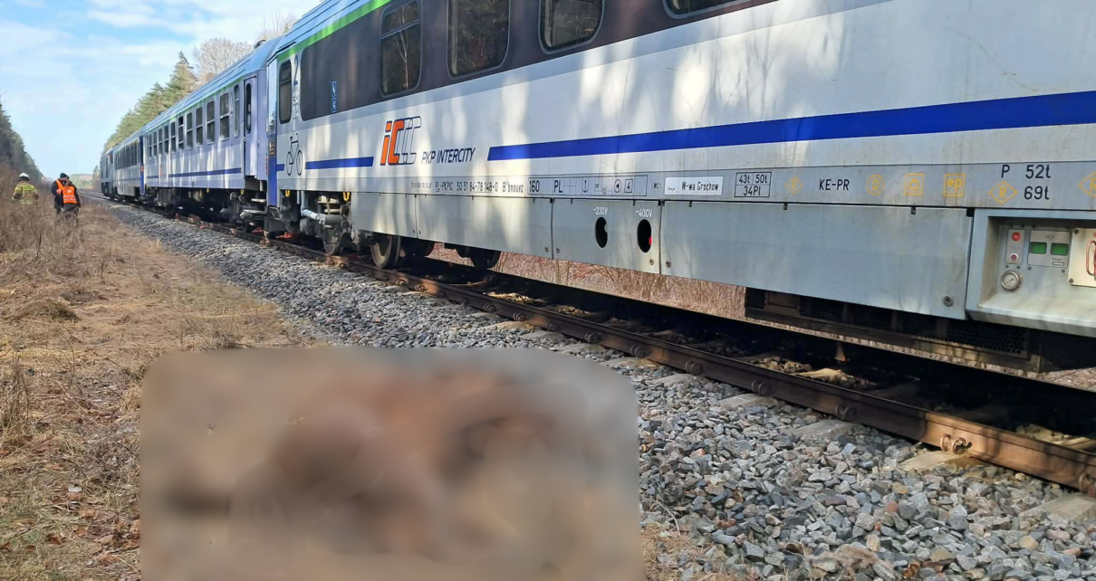 Fot. OSP Dubicze Cerkiewne