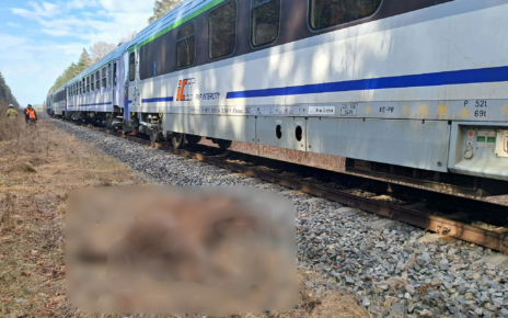 Fot. OSP Dubicze Cerkiewne