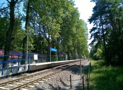 Fot. autorstwa Therud - Praca własna, CC BY-SA 4.0, https://commons.wikimedia.org/w/index.php?curid=50442521