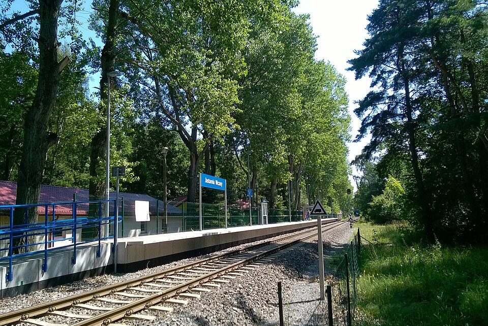 Fot. autorstwa Therud - Praca własna, CC BY-SA 4.0, https://commons.wikimedia.org/w/index.php?curid=50442521