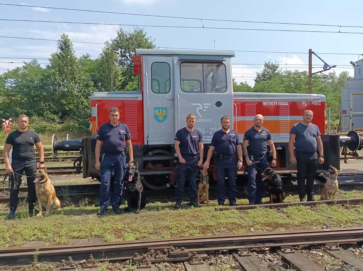 O psach, które pilnują bezpieczeństwa w pociągach POLREGIO