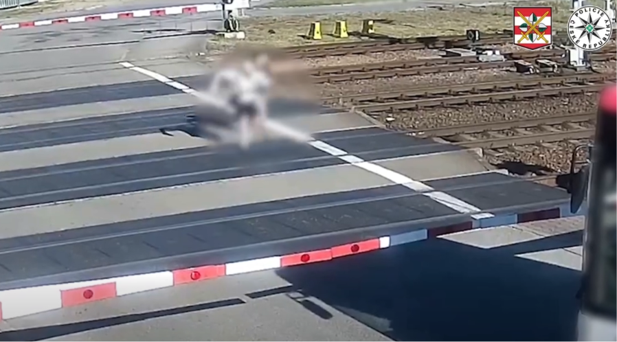 Fot. Policie České republiky | screen z filmu