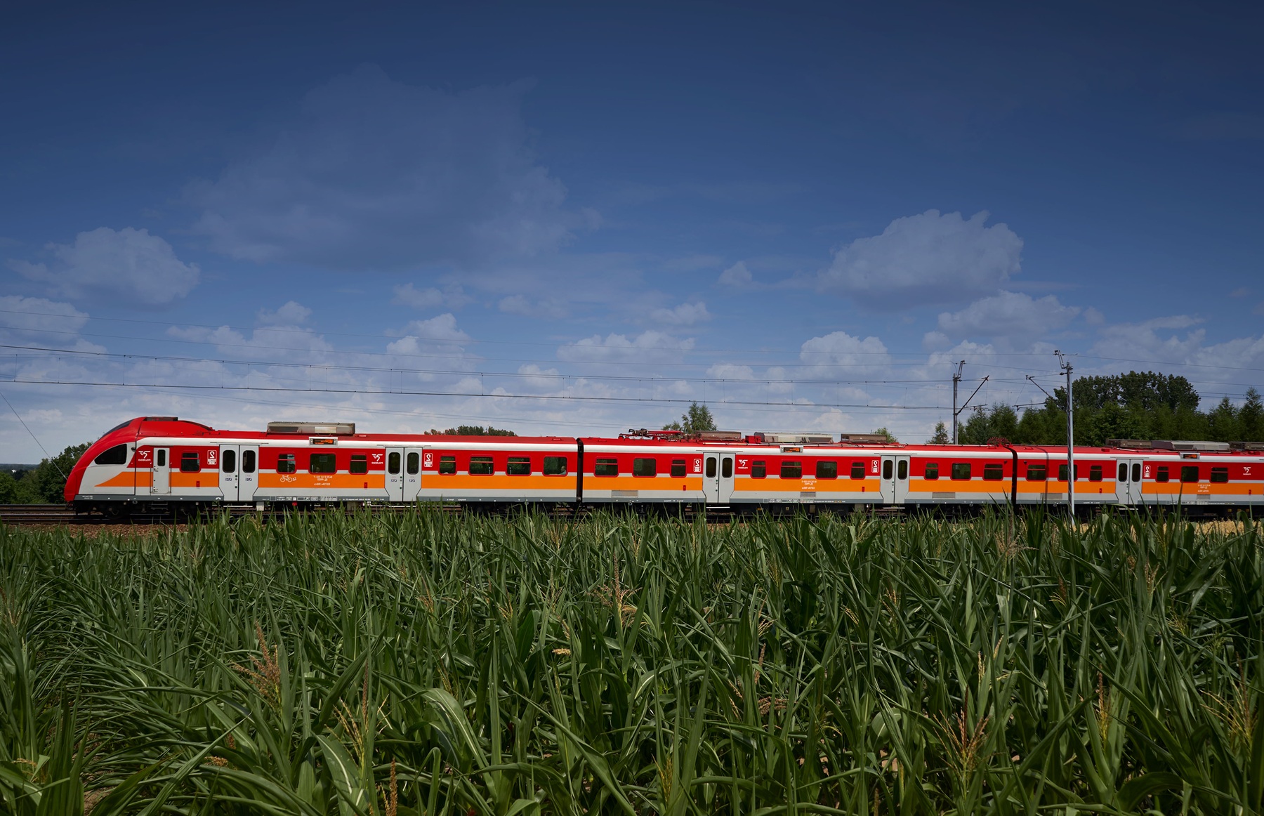 POLREGIO z wyjątkową promocją na Europejski Tydzień Mobilności