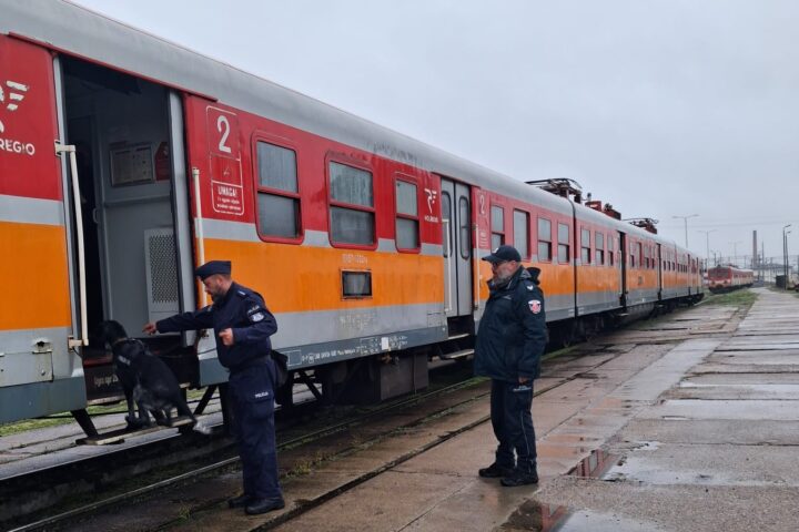 Czworonożni agenci w pociągach POLREGIO. Służby trenowały na bocznicy w Iławie