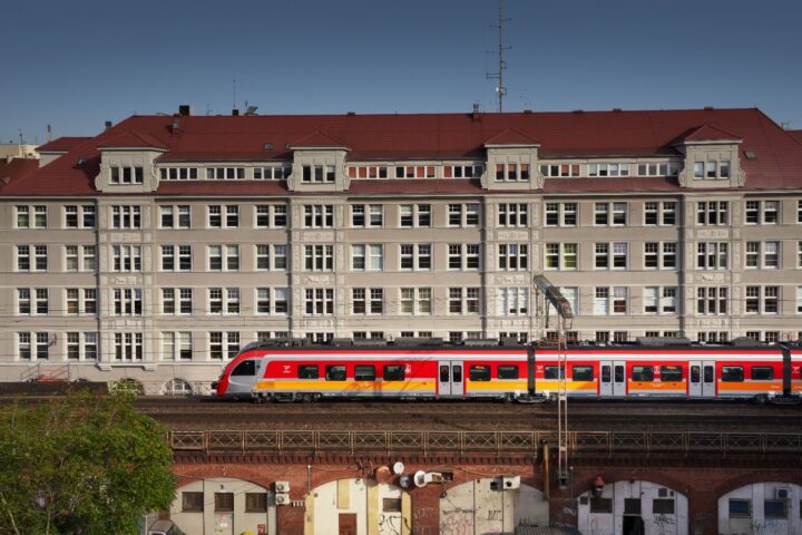 Pies i kot w podróży. Jak bezpiecznie i komfortowo przewozić swojego pupila pociągiem
