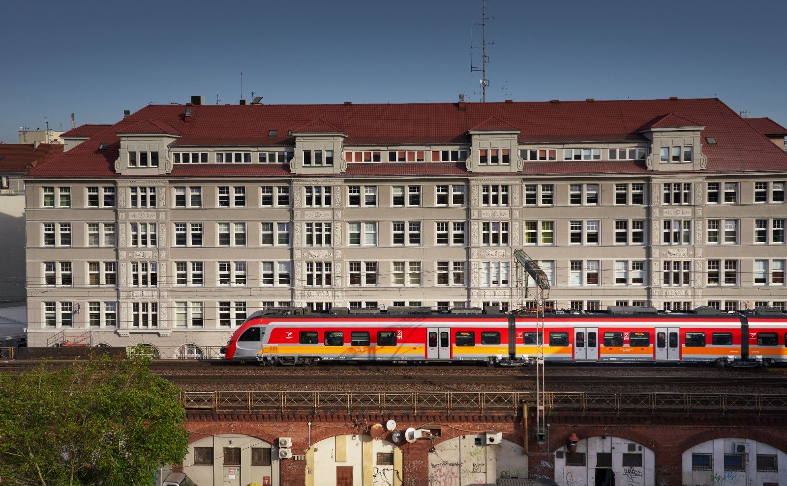 Pies i kot w podróży. Jak bezpiecznie i komfortowo przewozić swojego pupila pociągiem
