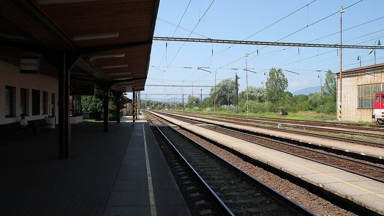 Fot. By Draceane - Own work, CC BY-SA 4.0, https://commons.wikimedia.org/w/index.php?curid=99652099