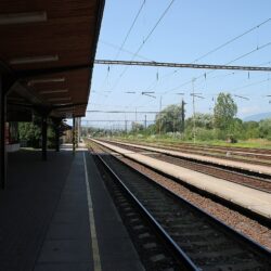 Fot. By Draceane - Own work, CC BY-SA 4.0, https://commons.wikimedia.org/w/index.php?curid=99652099